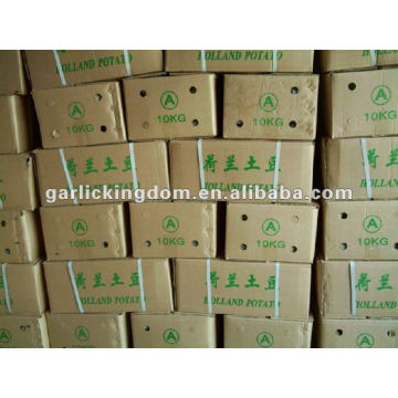 Sell 2012 new crop holland potato